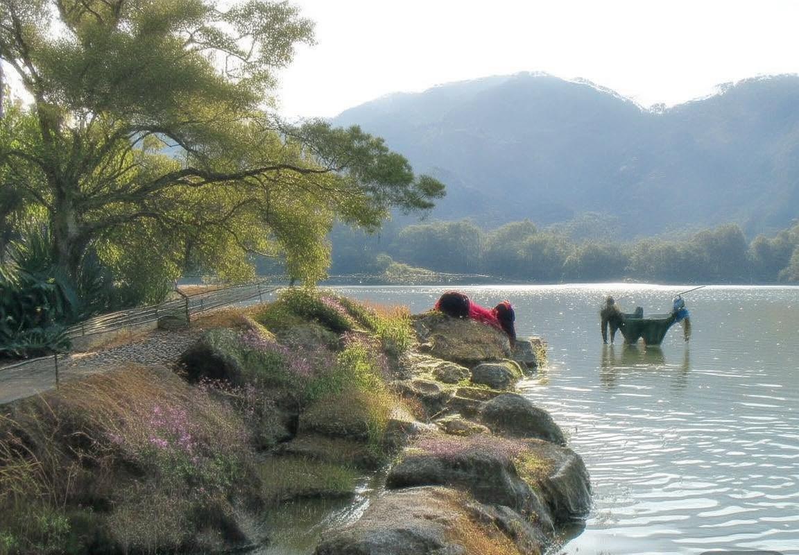 开拓者114-108凯尔特人结束3连败，杨瀚森3分4板，克林根18+18